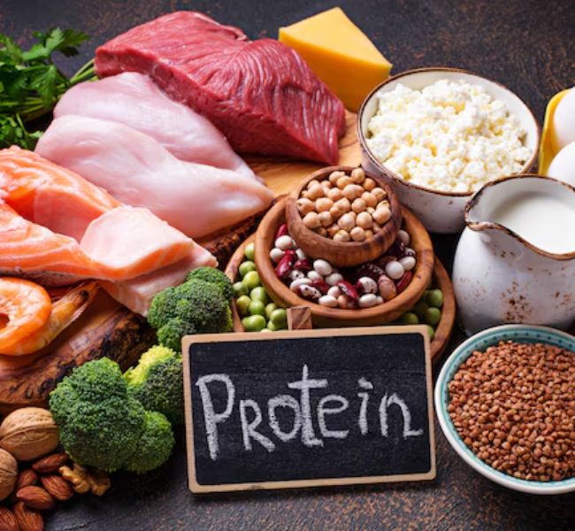 protein rich foods